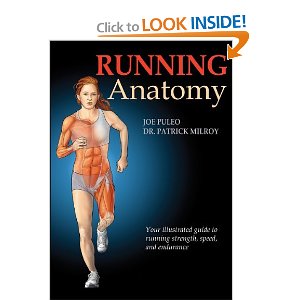 running-anatomy